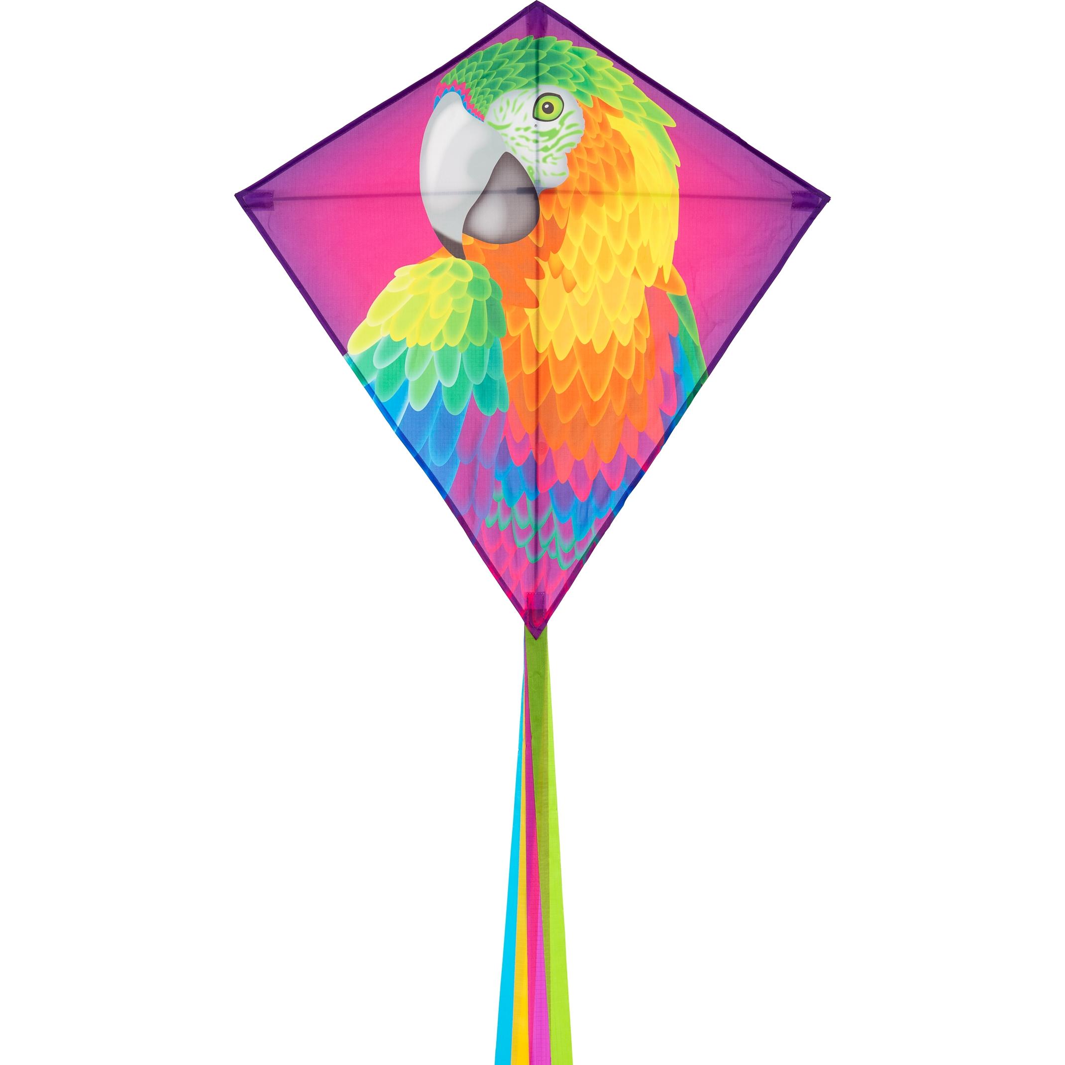 Invento Eddy Parrot