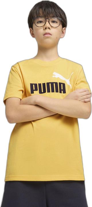 Produktbild Puma ESS 2 COLOR No.1 Logo Tee B (152)