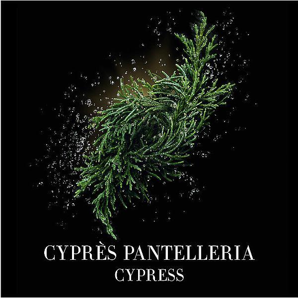 Actual product image Giorgio Armani Cyprès Pantelleria (Eau de toilette, 100 ml)