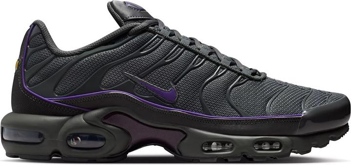 Image du produit Nike Air Max Plus OG Iron Grey Wild Grape (44.5)
