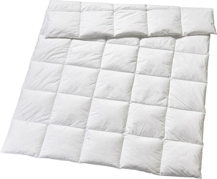 Image du produit Billerbeck Edition Bellanora 4-Saisons (600 g, 160 x 210 cm, Duvet)