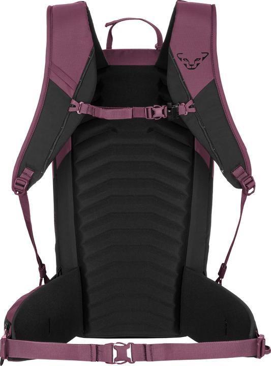 Produktbild Dynafit Ridge 24 Rucksack Damen (24 l)