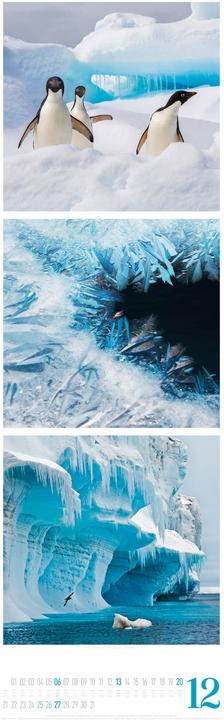 Image du produit Nature Triplet-Kalender 2026 (33 x 100 cm, Couverture rigide, Français, Allemand, Anglais)