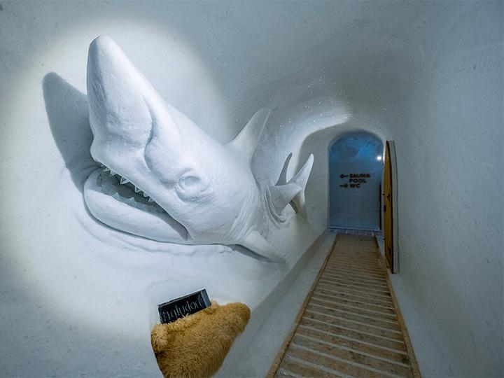 Actual product image Smartbox Deluxe tour of an igloo village in Davos Klosters and fondue for 2 people (2 Persons)