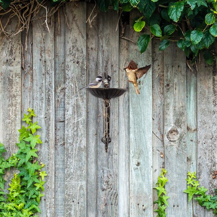 Produktbild Relaxdays Vogeltränke Welcome