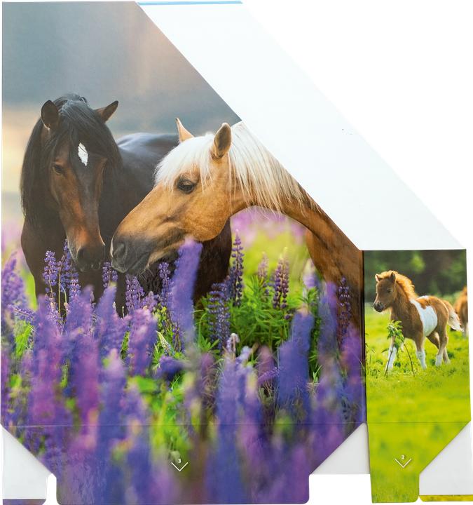 Pferdewiese, Tier-Motiv