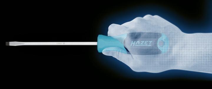 Actual product image HAZET Schraubendreher 811LG-55 ∙ Slot profile ∙ SW 1 x 5,5 mm