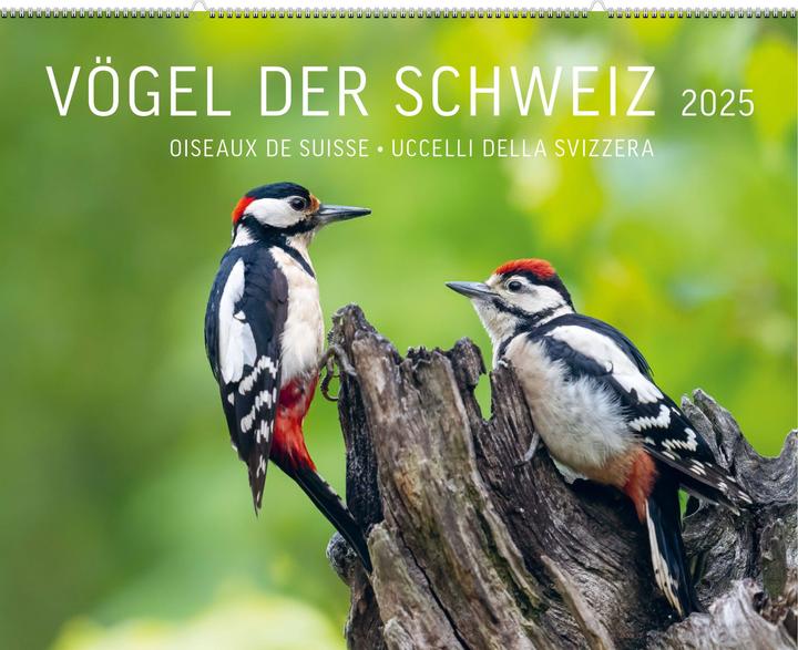 Immagine prodotto Uccelli della Svizzera 2025