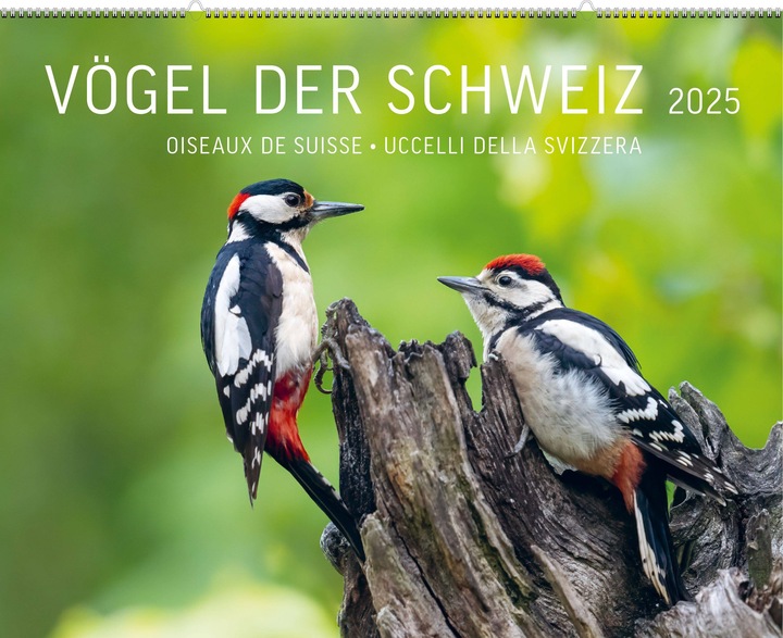 Actual product image Birds of Switzerland 2025