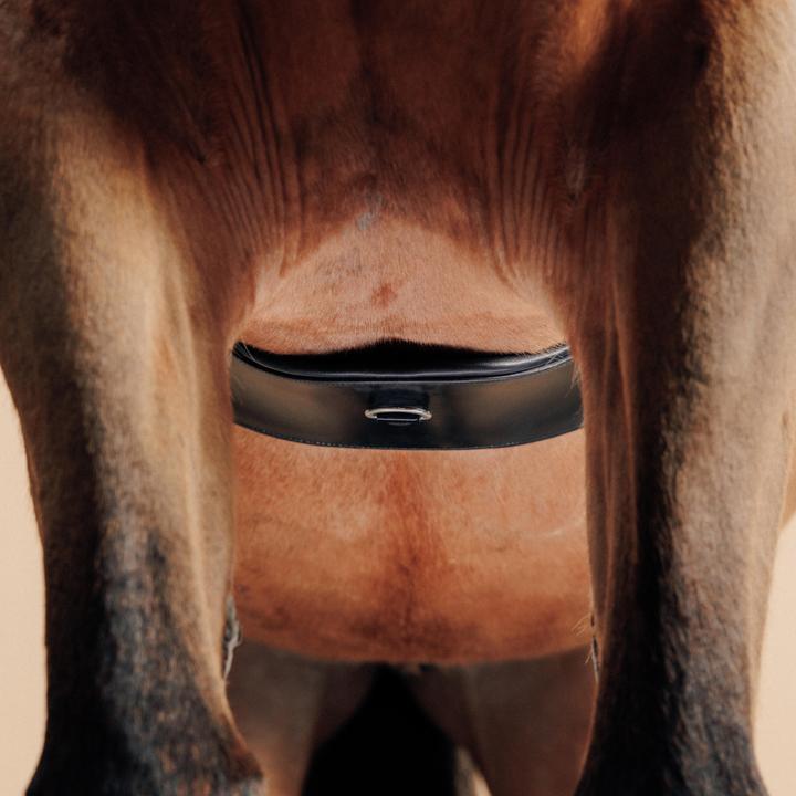 Produktbild Fouganza Sattelgurt Dressur Leder