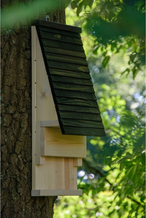 Immagine prodotto Dobar Bat box 19,5 x 14 x 53,5 cm
