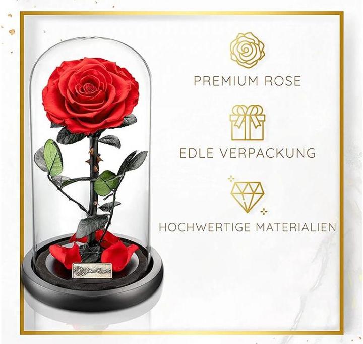 Accessori + Oggetti decorativi