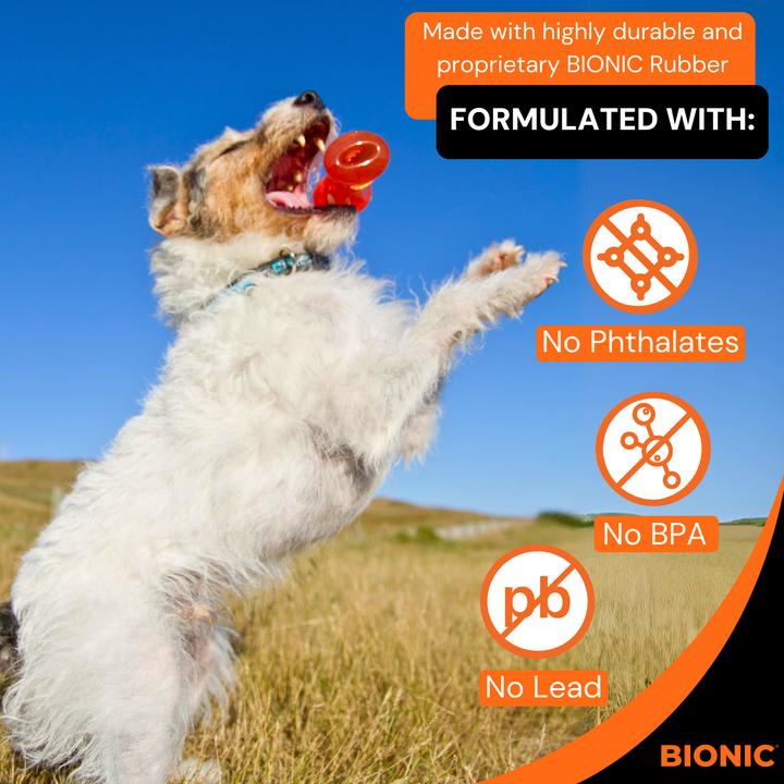 Immagine prodotto Bionic Osso S, 13x4x15,5 cm (Gioco da masticare per cani)