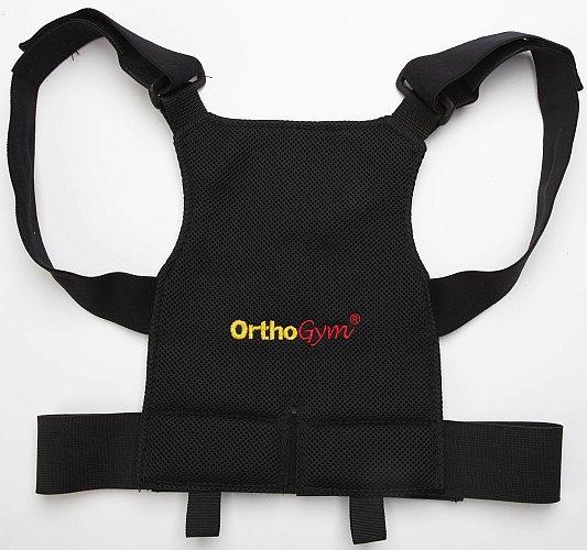 Immagine prodotto Backgym Classico (XL)