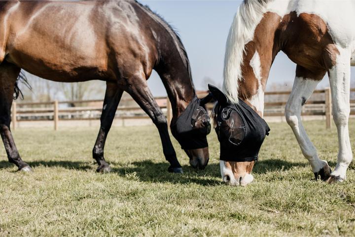 Produktbild Kentucky Horsewear Fliegenmaske Slim Fit