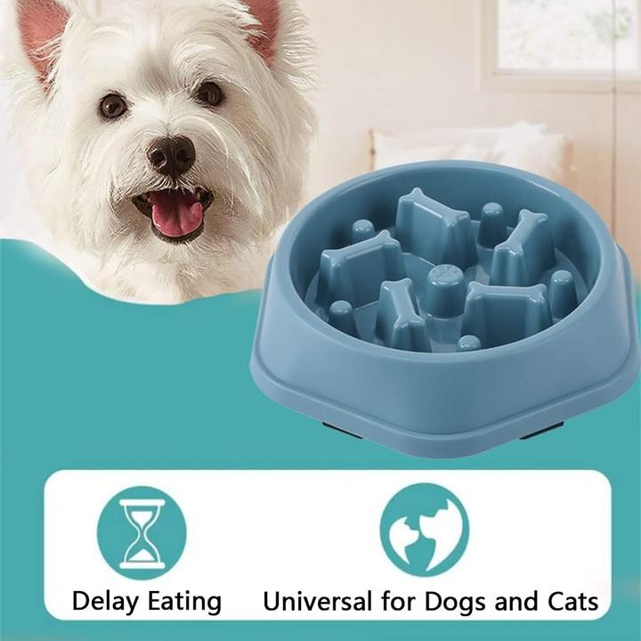 Actual product image Out of the blue Anti Sling Dog Bowl Slow Feeder