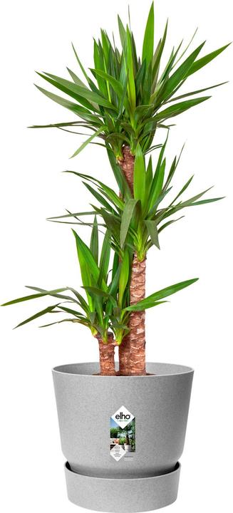 Immagine prodotto Elho Greenville Round (29.50 cm)
