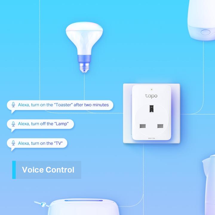 Actual product image TP-Link P100 Smart Plug