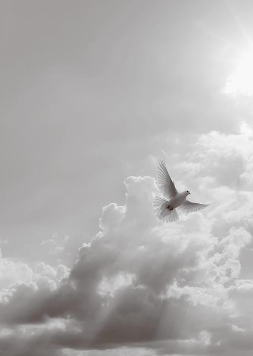 Produktbild Clairefontaine Korresdpondenzset Trauer