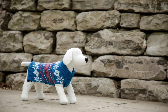 Image du produit Kerbl Pull-over Ellmau (S, Pull pour chien)