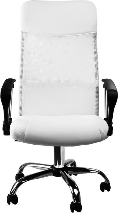 Casaria Chefsessel