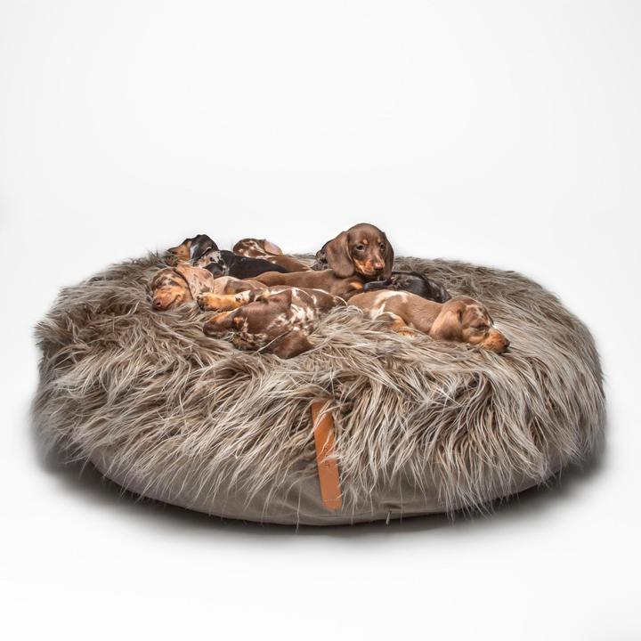 Image du produit Cloud 7 Pouf Yeti (Chien)