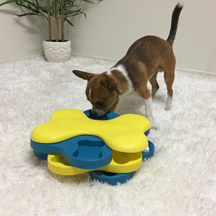 Actual product image Nina Ottosson Dog Tornado (Intelligence toy dog)