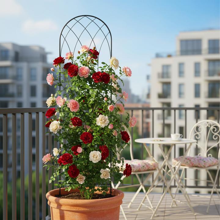 Actual product image Relaxdays 2x trellis (1 cm, 38 cm)