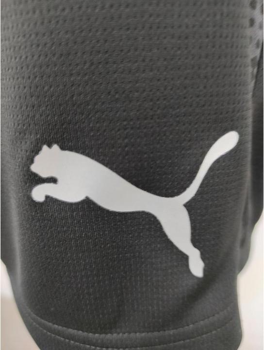 Produktbild Puma teamCUP Training Shorts (XL)
