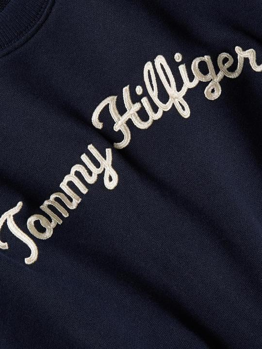 Actual product image Tommy Hilfiger Modern Regular Script Sweatshirt Pullover (XS)