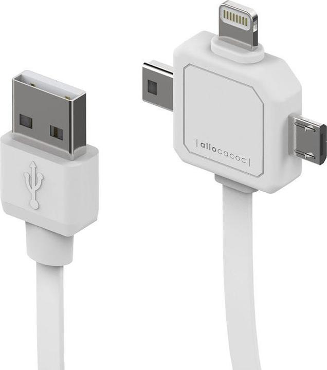 Produktbild Allocacoc Power (0.80 m, USB 2.0)