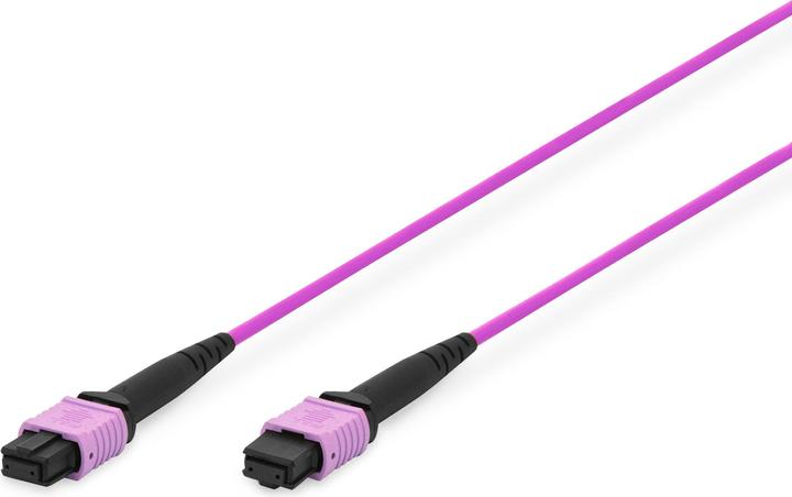 Immagine prodotto Digitus Cavo FO 50/125µ. OM4. MPO/MPO femmina 3,0 m (LSOH, CAT6, 3 m)
