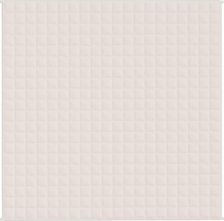 Immagine prodotto vidaXL Gewichtsdecke (200 x 200 cm)