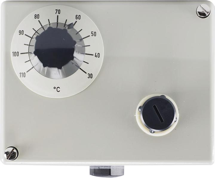 Actual product image Jumo Surface-mounted double thermostat