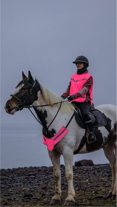 Image du produit Soulhorse Avant-train lumineux