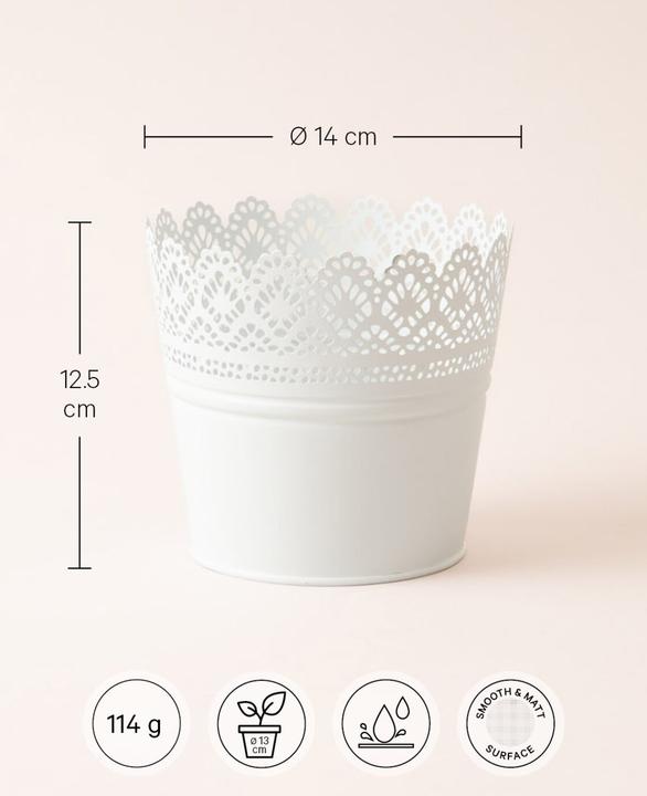 Image du produit Esmée Pot de fleurs, cache-pot avec pointes, tôle (14 cm)
