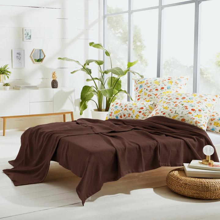 Image du produit Erwin Müller Sommerdecke (220 x 240 cm)