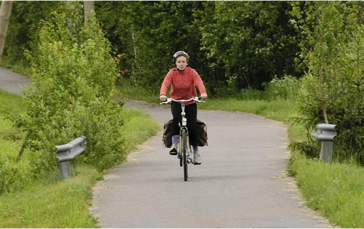 Actual product image Selle Royal Lookin Moderate