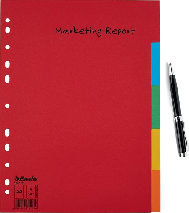 Produktbild Esselte Kartonregister Blanko