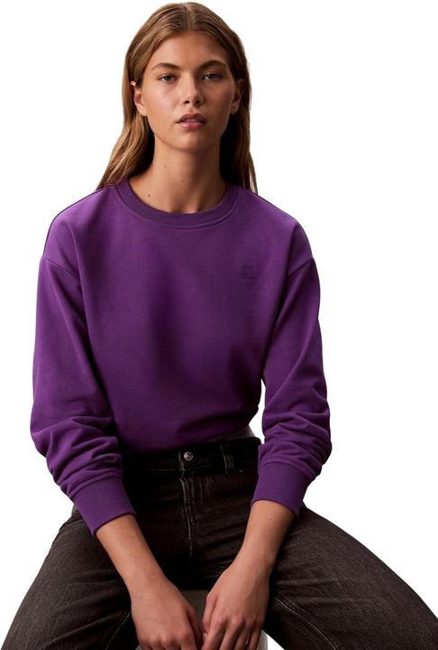 Produktbild Calvin Klein Jeans Ls Archive Logo French Terry Rlx (M)
