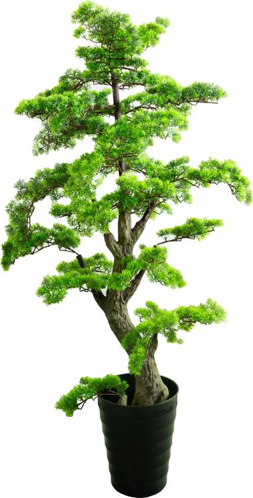 Novidarte Knstlicher Bonsai Baum - kaufen bei Galaxus - Galaxus