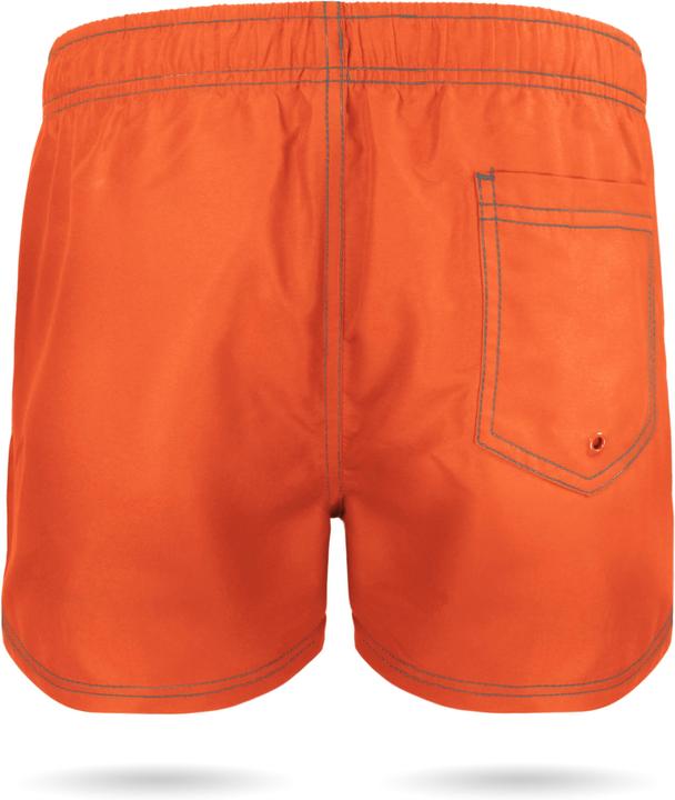 Actual product image Normani Beacon swim shorts (L)