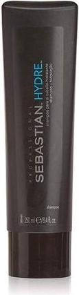 Actual product image Sebastian Hydre (250 ml, Liquid shampoo)