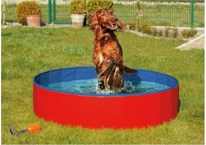 Actual product image Karlie Doggy