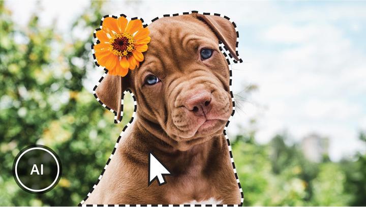 Produktbild Adobe Photoshop Elements 2023/2023/German/Multiple Platforms/Retail/1 User (1 User, unbegrenzt)