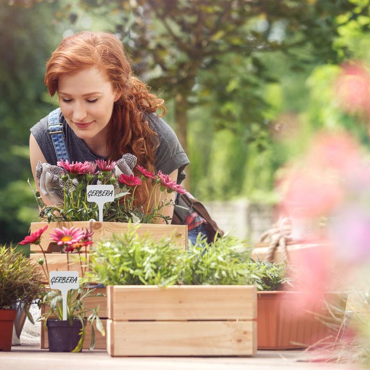 Productafbeelding Relaxdays Tekens van planten (0.20 cm, 5.50 cm)