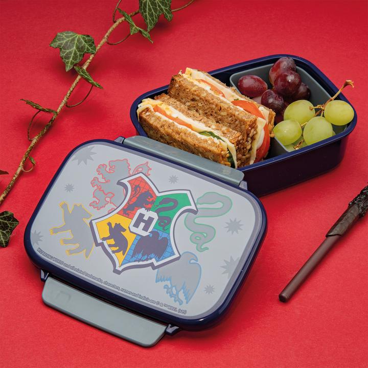 Actual product image Scooli Brotdose Harry Potter