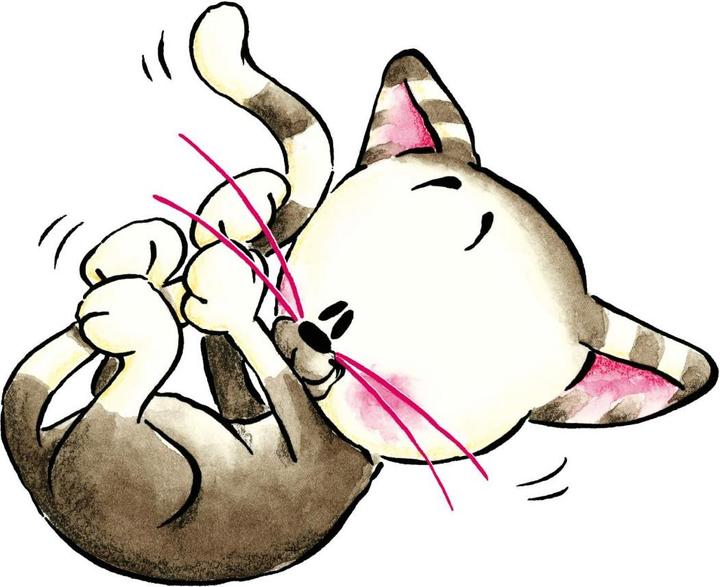 Immagine prodotto Diddle Diddl - Milimits cattura il gallo (73 x 60 cm)