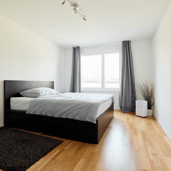 Actual product image ecofort ecoQ 12L Essential (30 m², 12 l/24h)