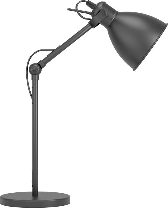 Actual product image EGLO Priddy (E27)